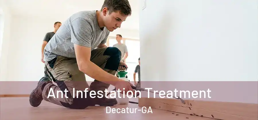 Ant Infestation Treatment Decatur-GA