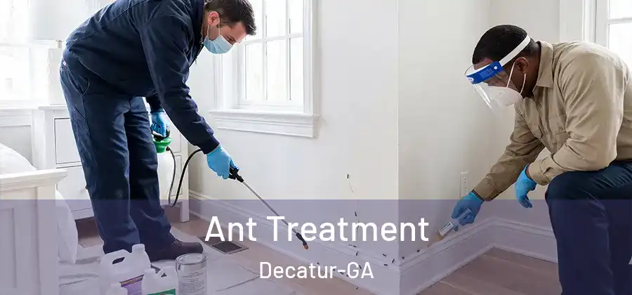Ant Treatment Decatur-GA