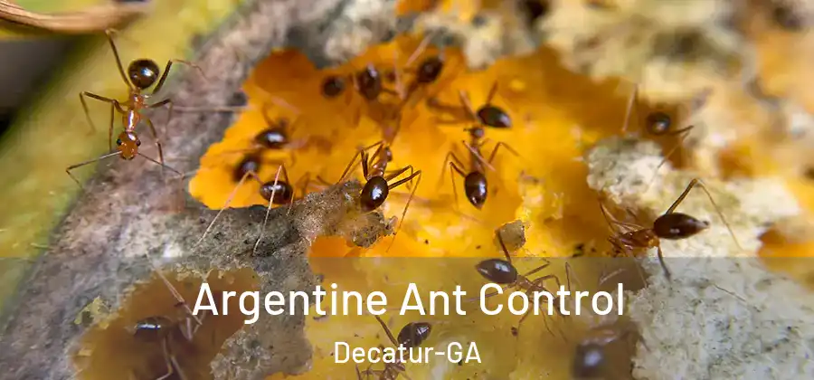Argentine Ant Control Decatur-GA