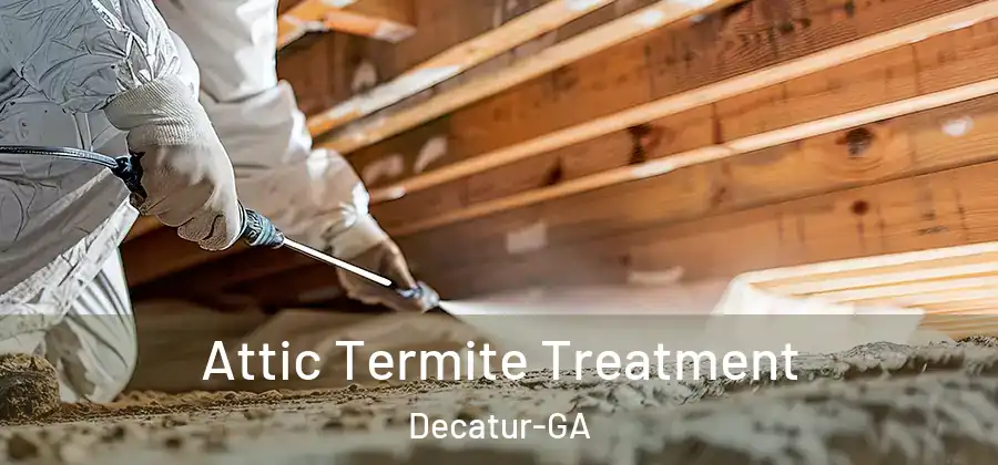  Attic Termite Treatment Decatur-GA