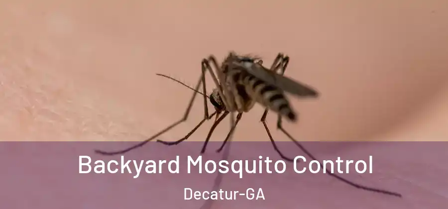 Backyard Mosquito Control Decatur-GA