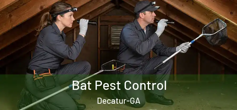 Bat Pest Control Decatur-GA