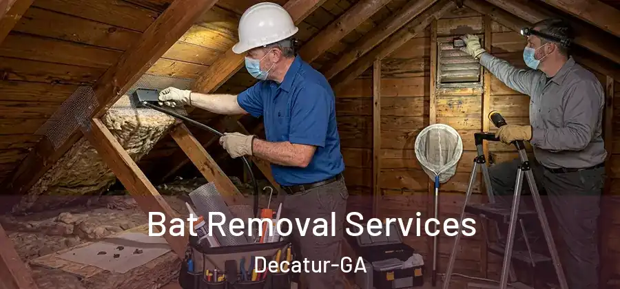Bat Removal Services Decatur-GA