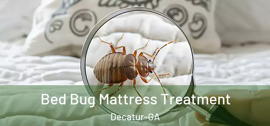 Bed Bug Mattress Treatment Decatur-GA