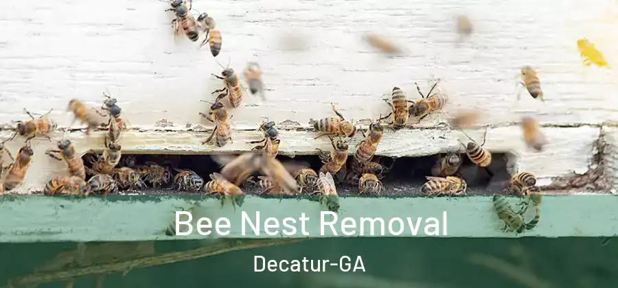 Bee Nest Removal Decatur-GA