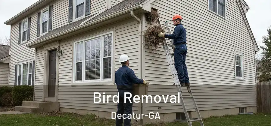 Bird Removal Decatur-GA