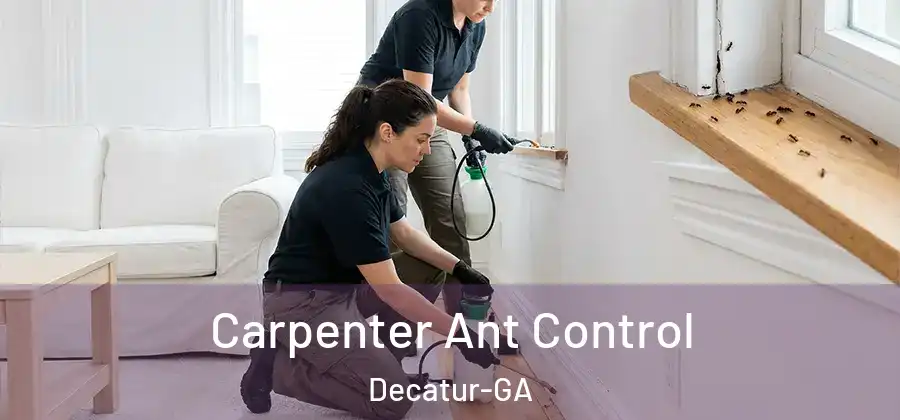  Carpenter Ant Control Decatur-GA