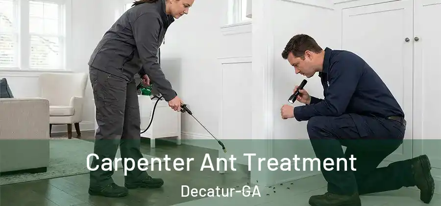 Carpenter Ant Treatment Decatur-GA