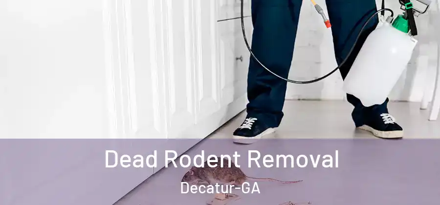 Dead Rodent Removal Decatur-GA