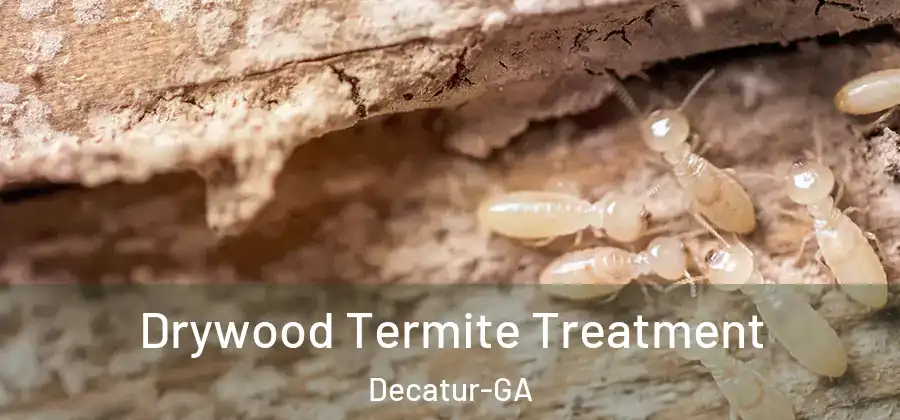  Drywood Termite Treatment Decatur-GA