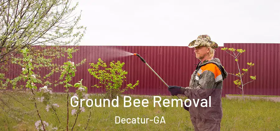  Ground Bee Removal Decatur-GA