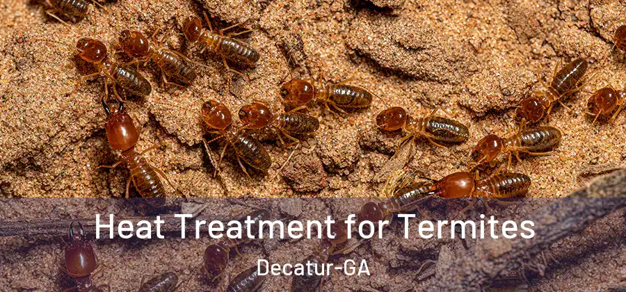  Heat Treatment for Termites Decatur-GA