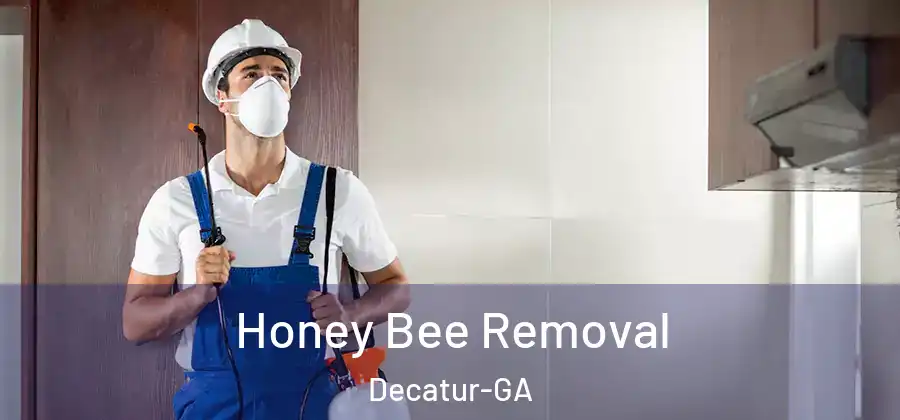 Honey Bee Removal Decatur-GA