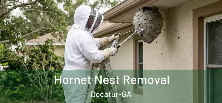 Hornet Nest Removal Decatur-GA
