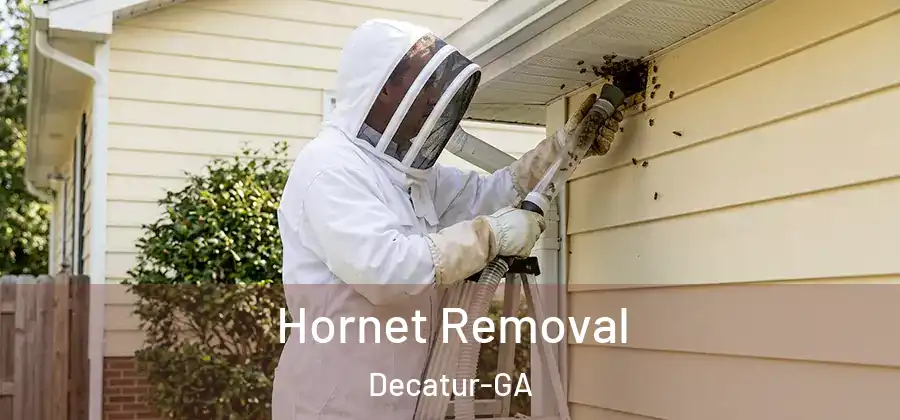 Hornet Removal Decatur-GA