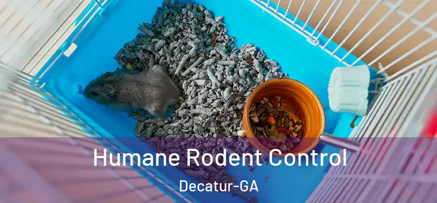 Humane Rodent Control Decatur-GA