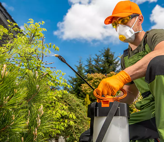 Your Best Bug Spray for Home Team in Decatur, GA