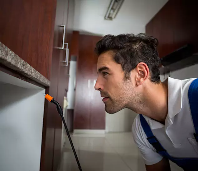 Termite Inspection Cost Experts You Can Trust in Decatur, GA
