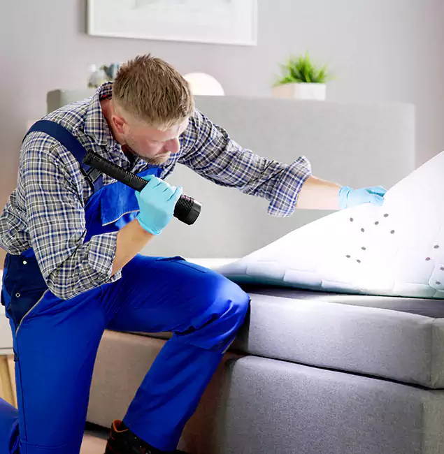 Why Choose Decatur Pest Control Pro for Bed Bug Exterminator Cost in Decatur, GA?