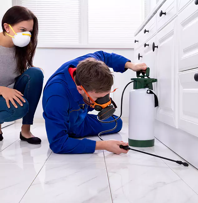Why Decatur, GA Homeowners Trust Decatur Pest Control Pro for Roach Control?