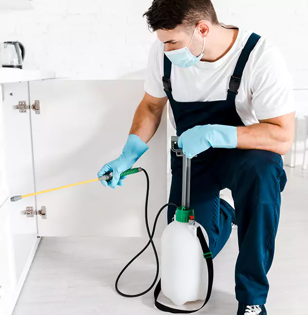 Why Choose Decatur Pest Control Pro for Indoor Pest Control in Decatur, GA?