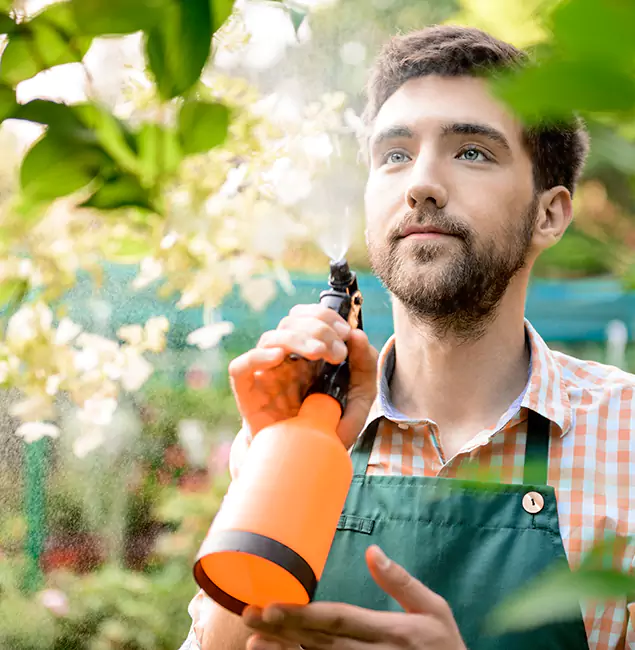 Why Decatur Pest Control Pro Is the Best Mosquito Control Company in Decatur, GA?