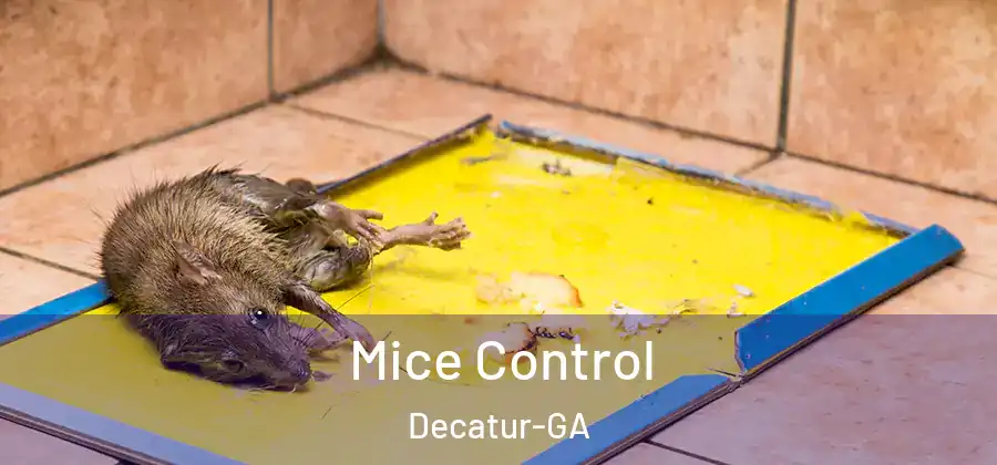 Mice Control Decatur-GA