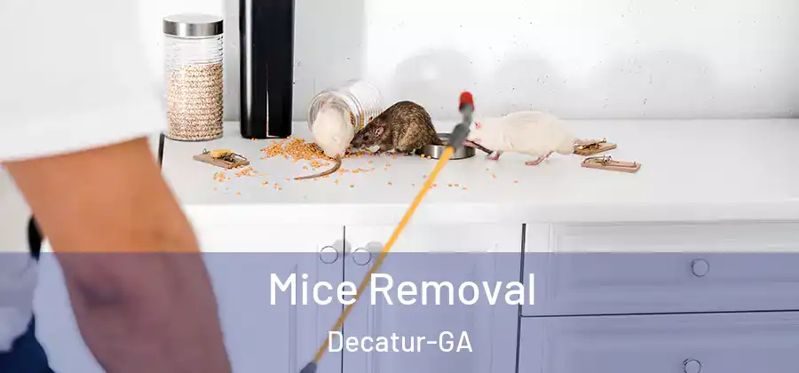 Mice Removal Decatur-GA