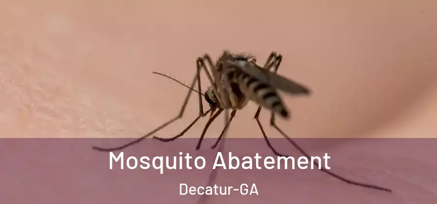 Mosquito Abatement Decatur-GA