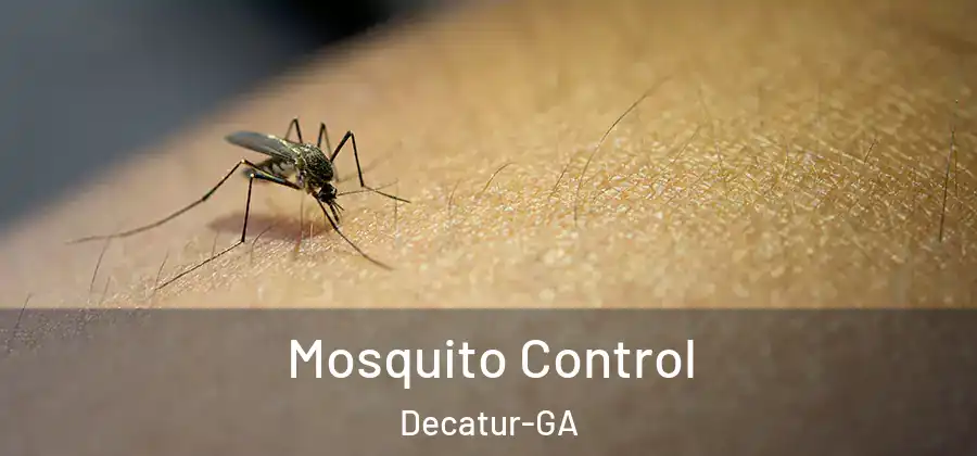 Mosquito Control Decatur-GA