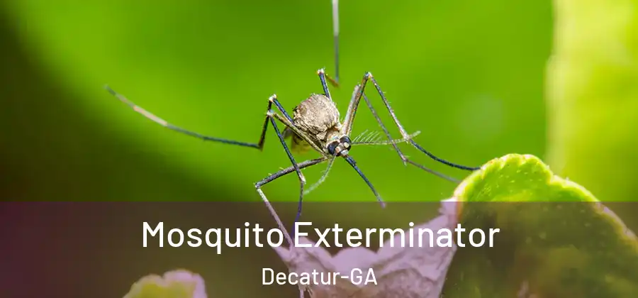 Mosquito Exterminator Decatur-GA