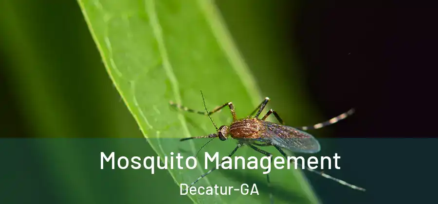 Mosquito Management Decatur-GA