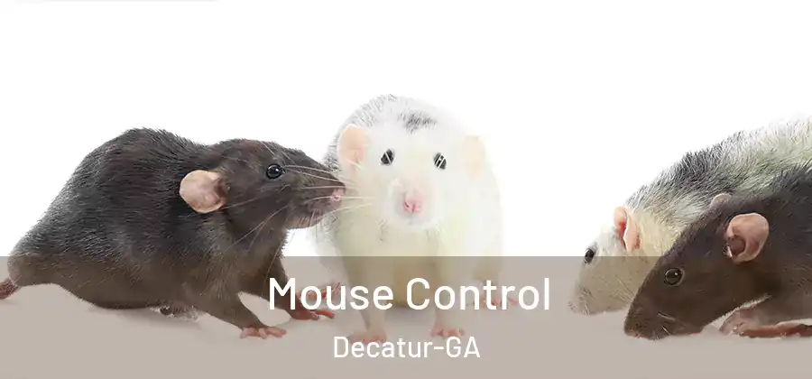  Mouse Control Decatur-GA