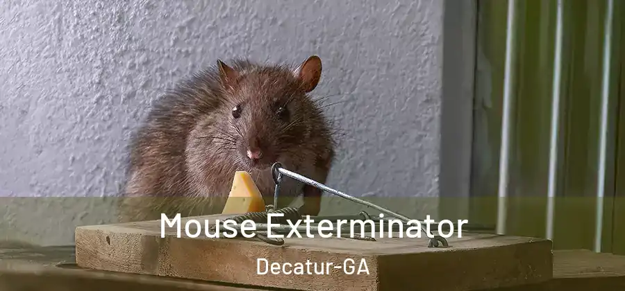 Mouse Exterminator Decatur-GA