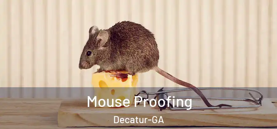  Mouse Proofing Decatur-GA