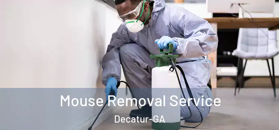 Mouse Removal Service Decatur-GA