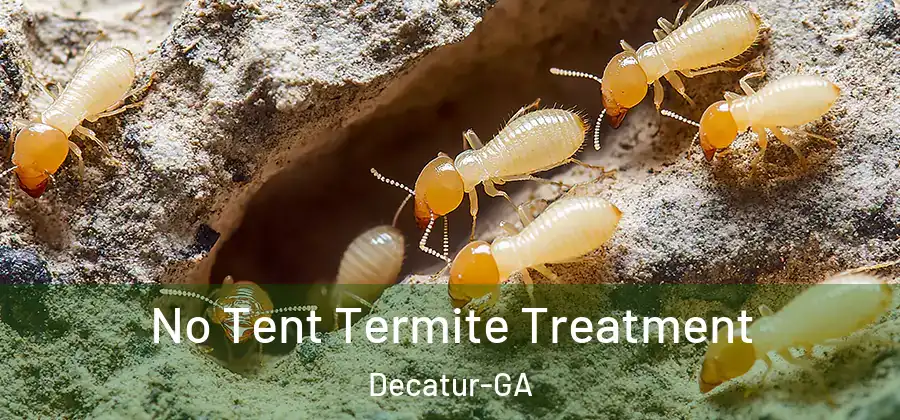 No Tent Termite Treatment Decatur-GA