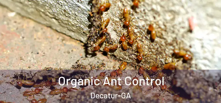  Organic Ant Control Decatur-GA