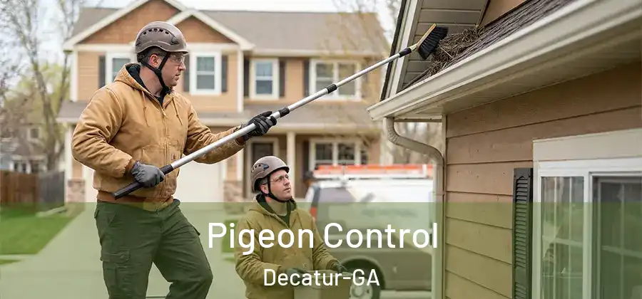  Pigeon Control Decatur-GA