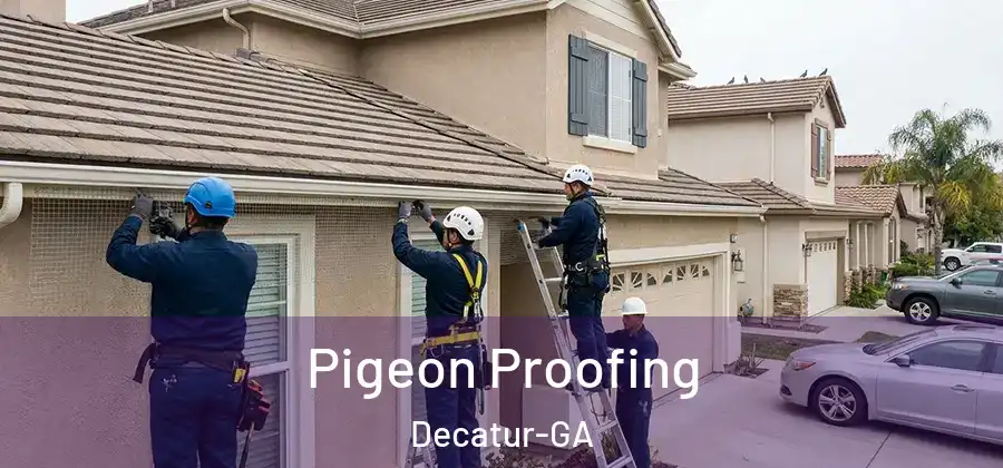  Pigeon Proofing Decatur-GA