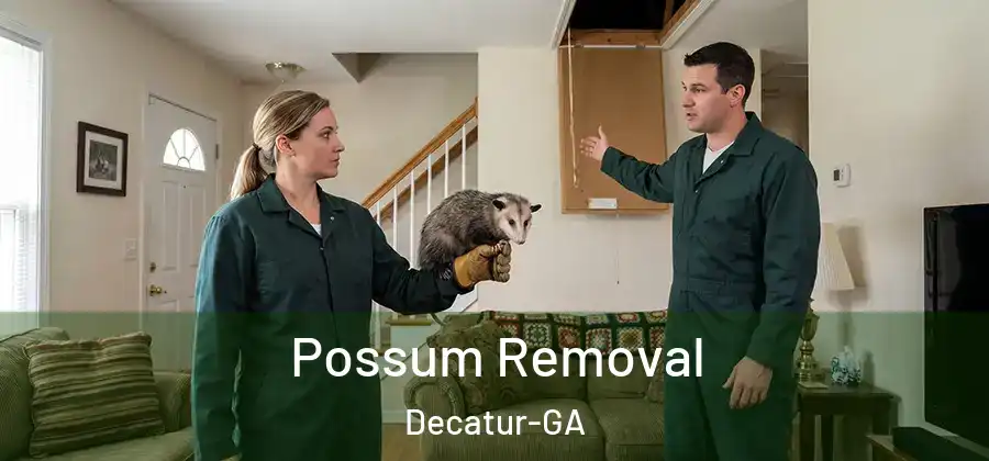  Possum Removal Decatur-GA