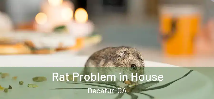  Rat Problem in House Decatur-GA