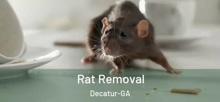  Rat Removal Decatur-GA