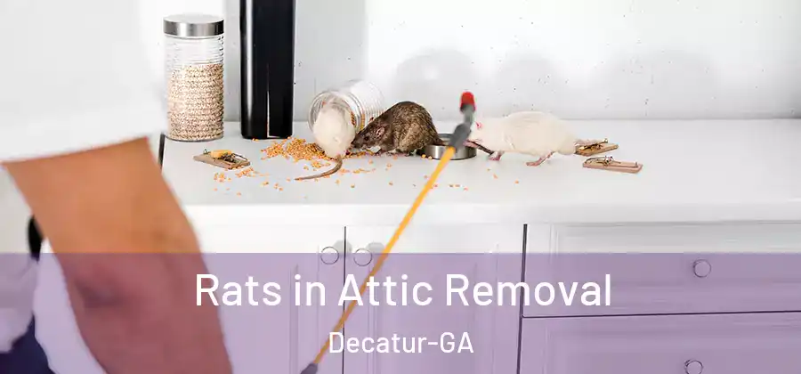 Rats in Attic Removal Decatur-GA