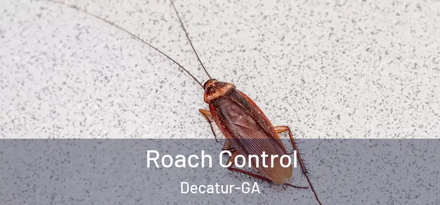  Roach Control Decatur-GA
