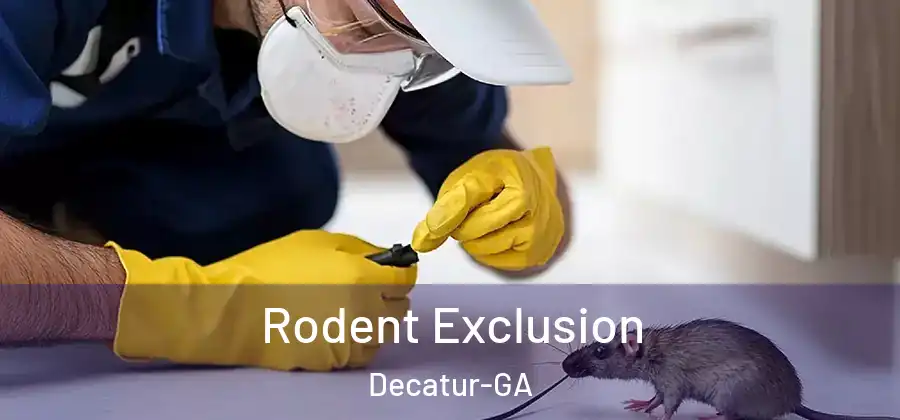 Rodent Exclusion Decatur-GA