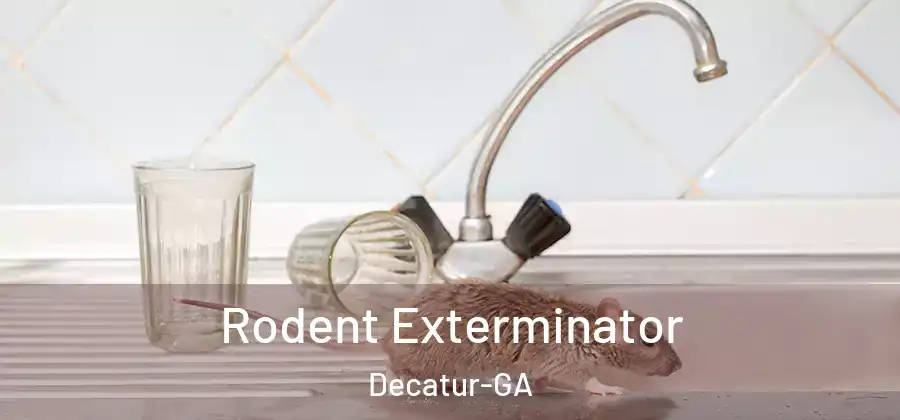 Rodent Exterminator Decatur-GA