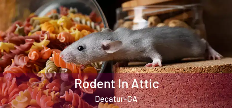 Rodent In Attic Decatur-GA