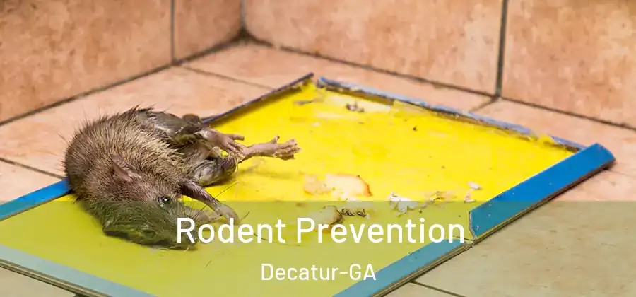Rodent Prevention Decatur-GA