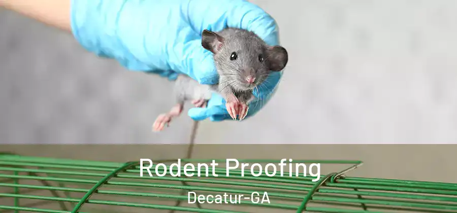 Rodent Proofing Decatur-GA